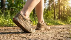 Proč se jikry nazývají „druhým srdcem“ – a jak je „probudit“