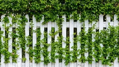 Čím nahradit plot: nejlepší rychle rostoucí rostliny pro živý plot